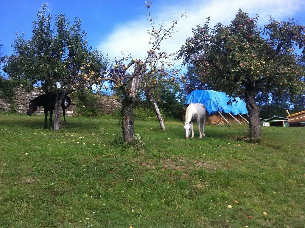 Bed & Breakfast Rose e Cioccolato B&B Borgo Val di Taro Italia
